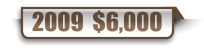2009  $6,000