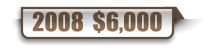 2008  $6,000