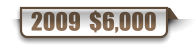 2009  $6,000