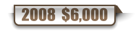 2008  $6,000